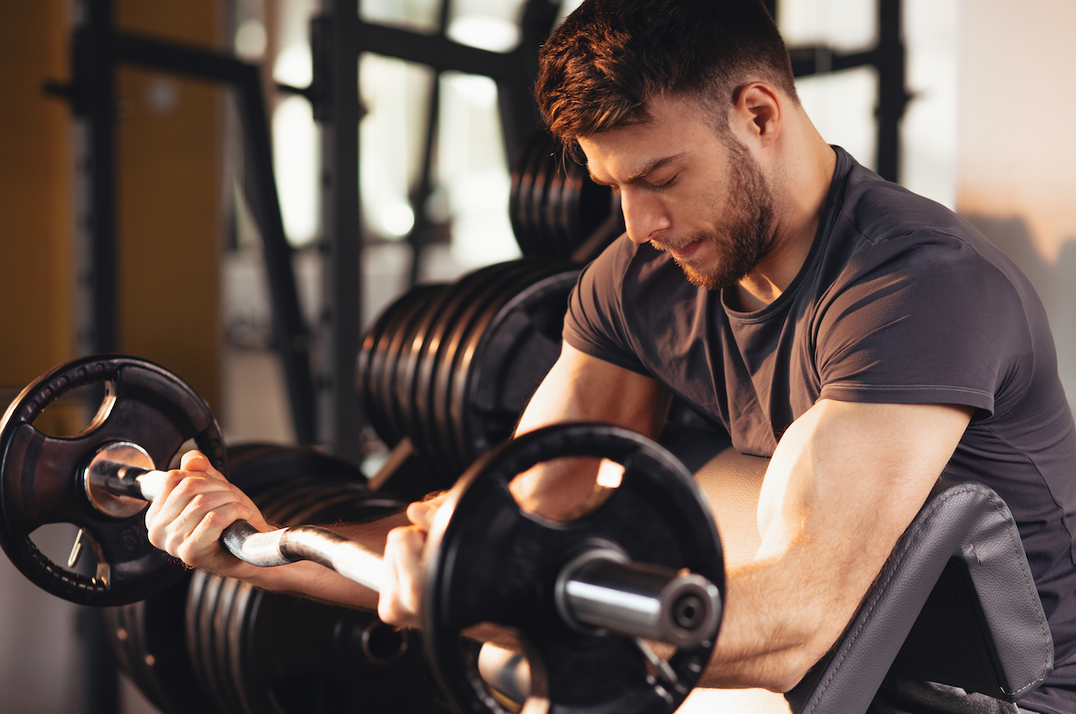 Protein Max Muscle Orlando