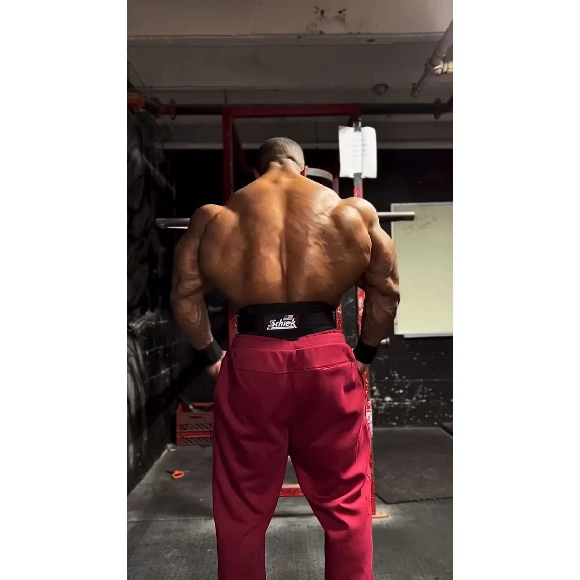Lifting Belt Model 2006 Max Muscle Orlando