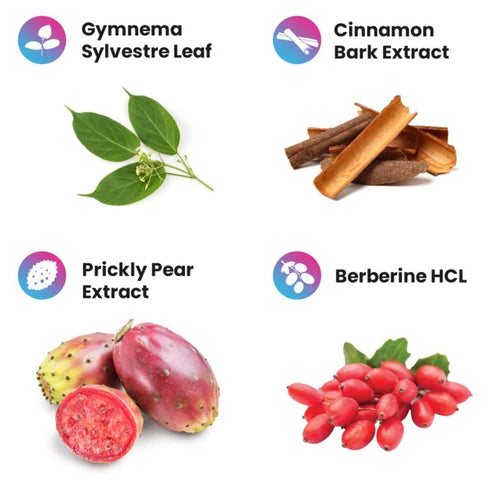 Project AD | Matador