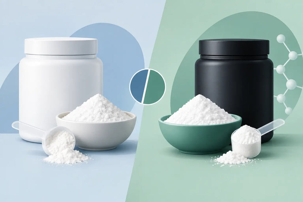 Creatine Monohydrate Versus HCl: Which Wins?