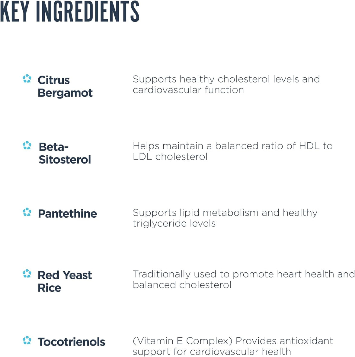 Revive MD | Lipid
