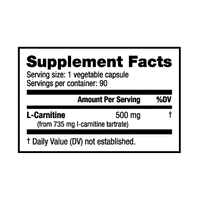 L-Carnitine Max Muscle Orlando