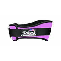 Lifting Belt Model 2006 Max Muscle Orlando