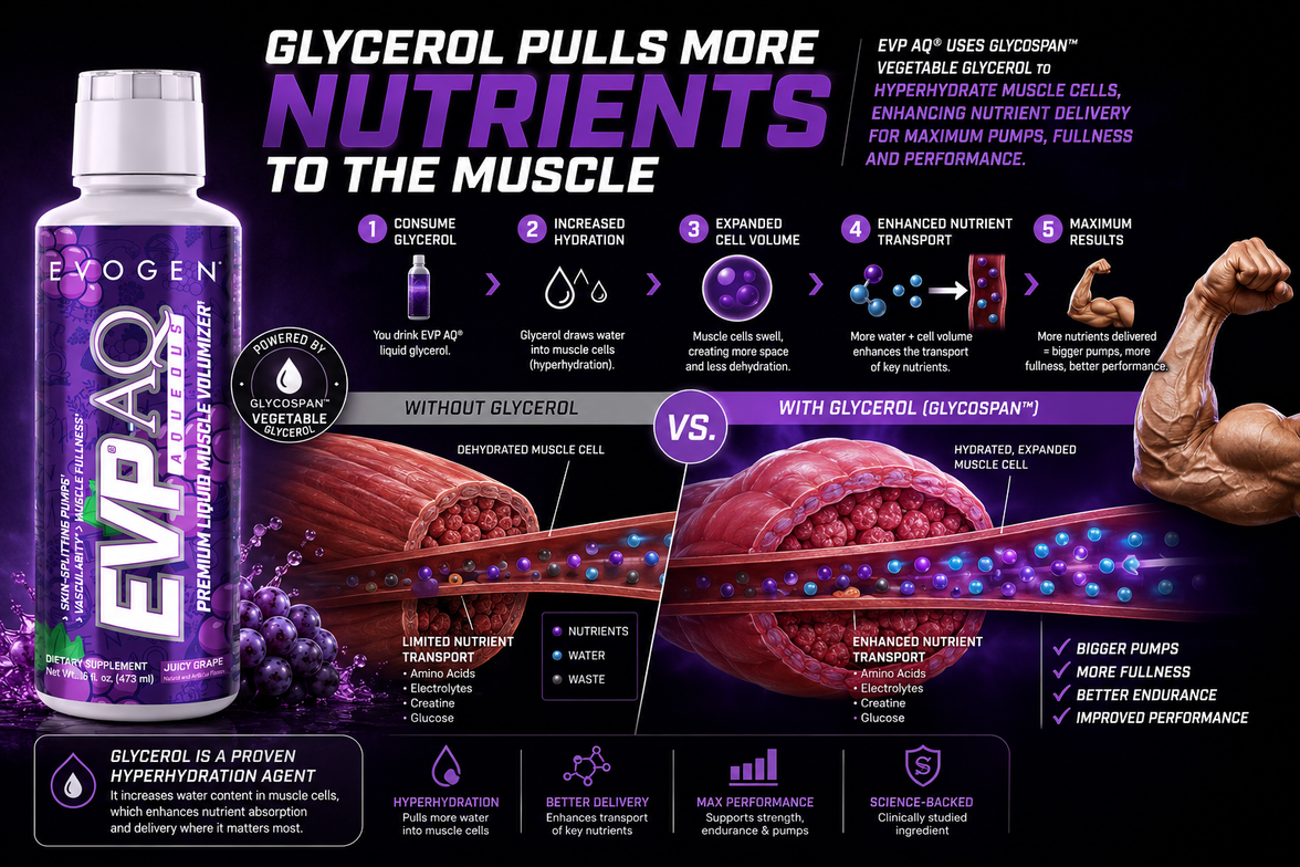 Evogen EVP AQ supplement bottle with promotional text and graphics about glycerol's benefits on muscle nutrition.
