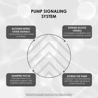 Infinis Nutrition | Ultra Pump